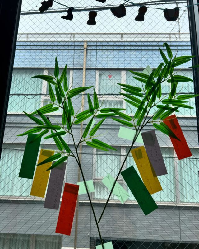 #青物横丁の音楽教室#季節の飾り#七夕さま#みんなの願い事